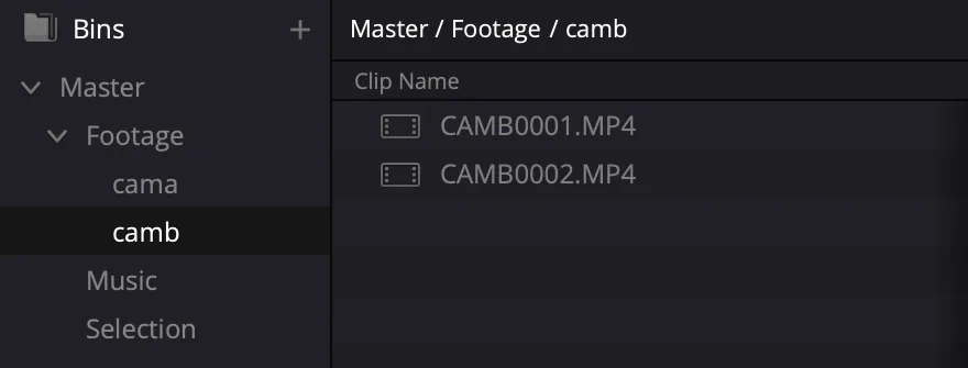 Bins in Davinci Resolve, gemaakt door Rushwise
